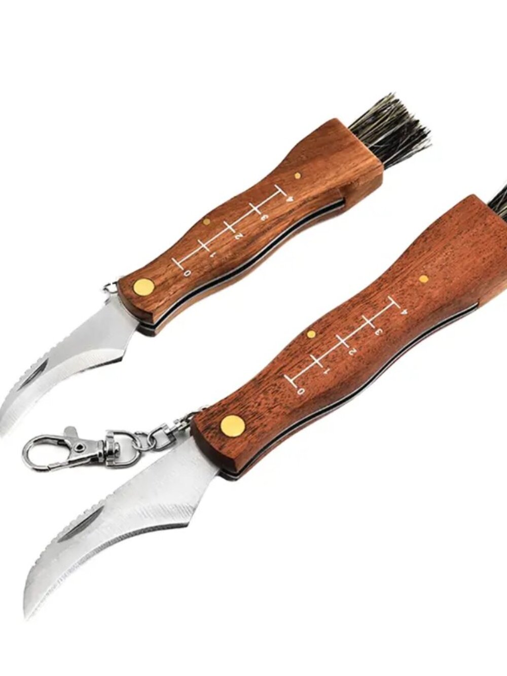 Folding Camping Hunting Truffles Harvest Sharp Knives Natural Wood Handle Pocket